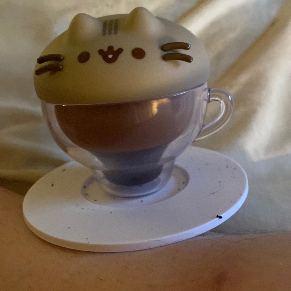 Pusheen vinyl